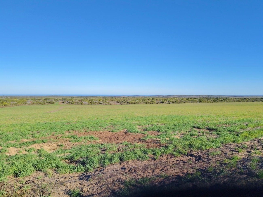  Bedroom Property for Sale in Riversdale Rural Western Cape